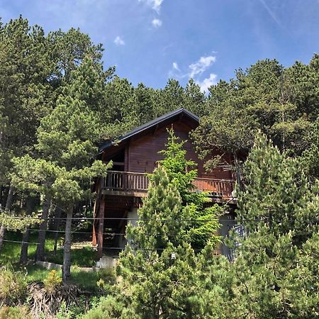 Chalet Vue Sous Cet Angles 外观 照片